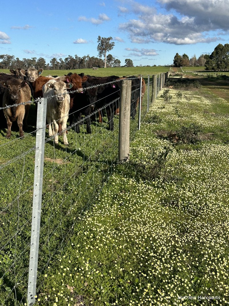 Photo - . Collett'S & Myer'S , Manjimup WA 6258 - Image 19