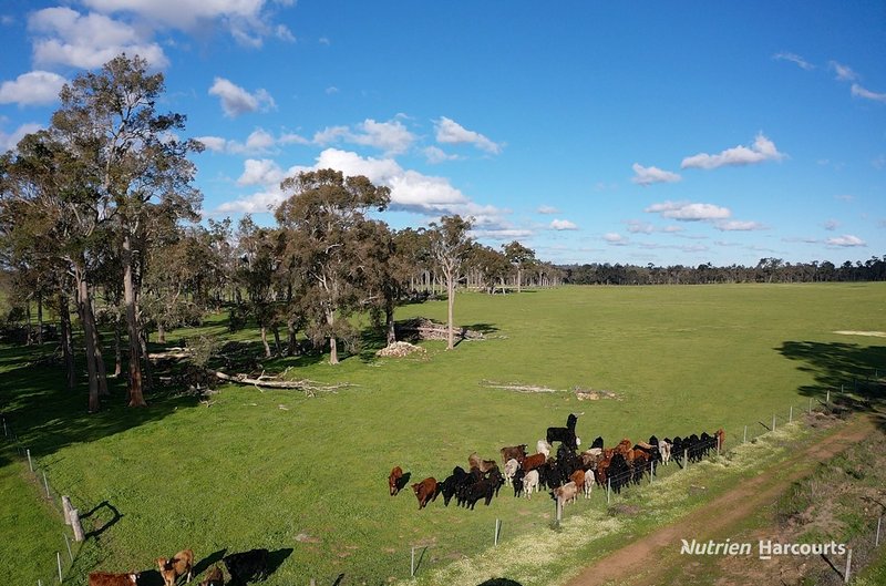 Photo - . Collett'S & Myer'S , Manjimup WA 6258 - Image 17