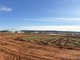 Photo - Collina North, Griffith NSW 2680 - Image 4