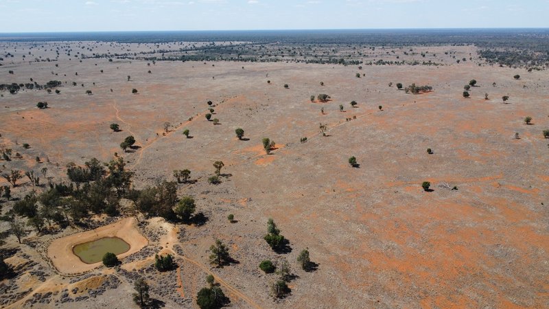 Photo - * Colly Burl , Coolabah NSW 2831 - Image 14