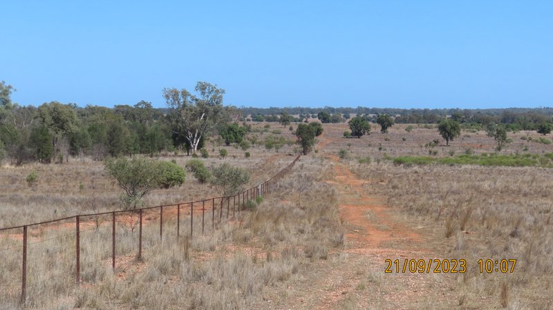 Photo - * Colly Burl , Coolabah NSW 2831 - Image 19