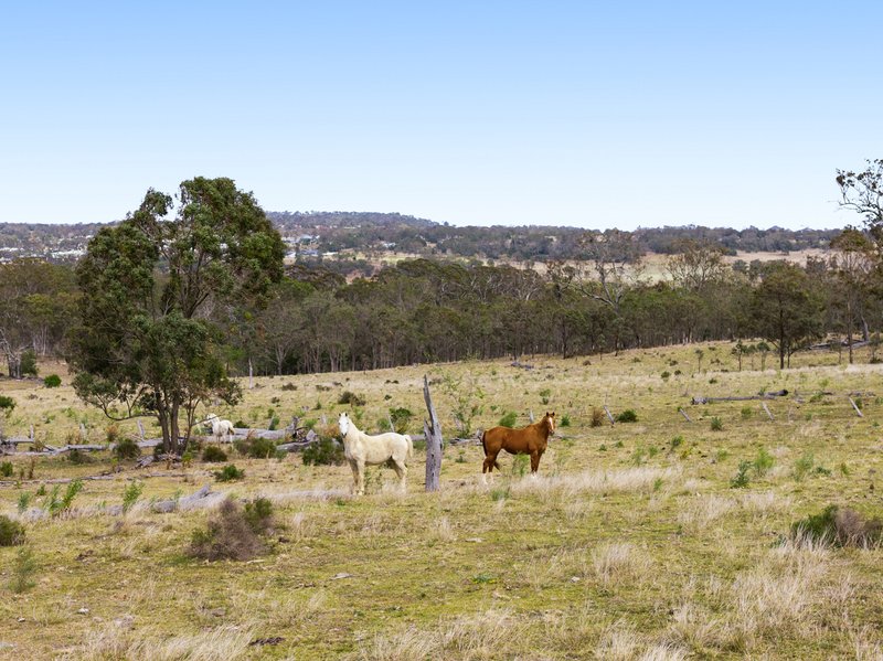Photo - "Cooby Crest" 101 Pipeline Road, Meringandan QLD 4352 - Image 3