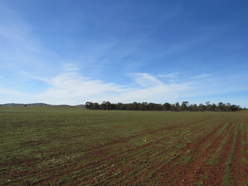 Photo - "Cooks" Deidre Road, Eurelia SA 5431 - Image 3