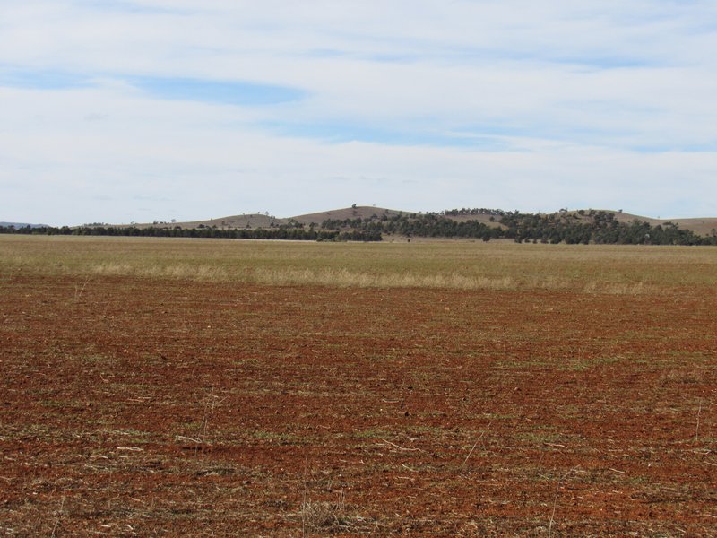 Photo - "Cooks" Deidre Road, Eurelia SA 5431 - Image 7