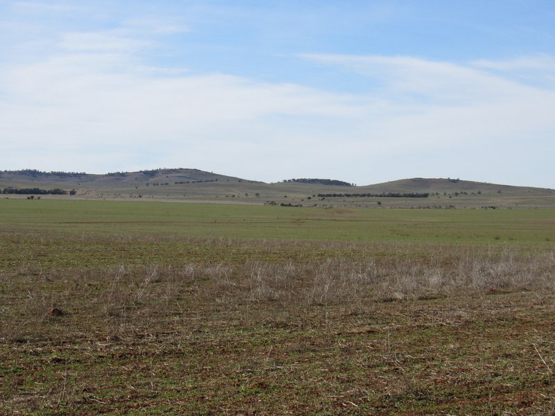 Photo - "Cooks" Deidre Road, Eurelia SA 5431 - Image 10