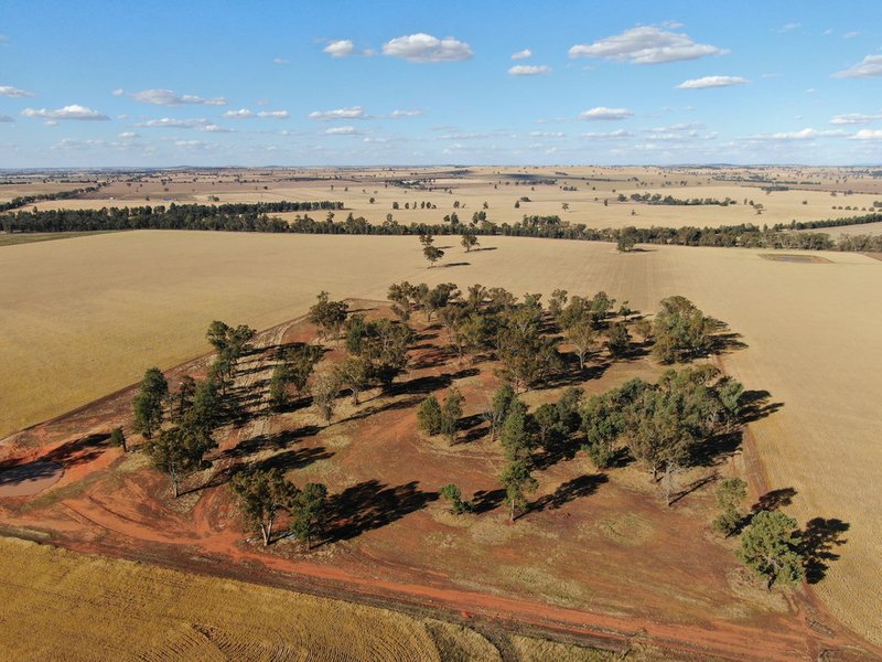 Coolamon NSW 2701