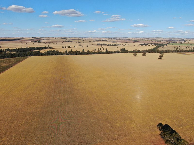 Photo - Coolamon NSW 2701 - Image 4