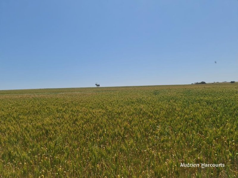 Photo - Corner Eaton & Rossmore Road, Goomalling WA 6460 - Image 2