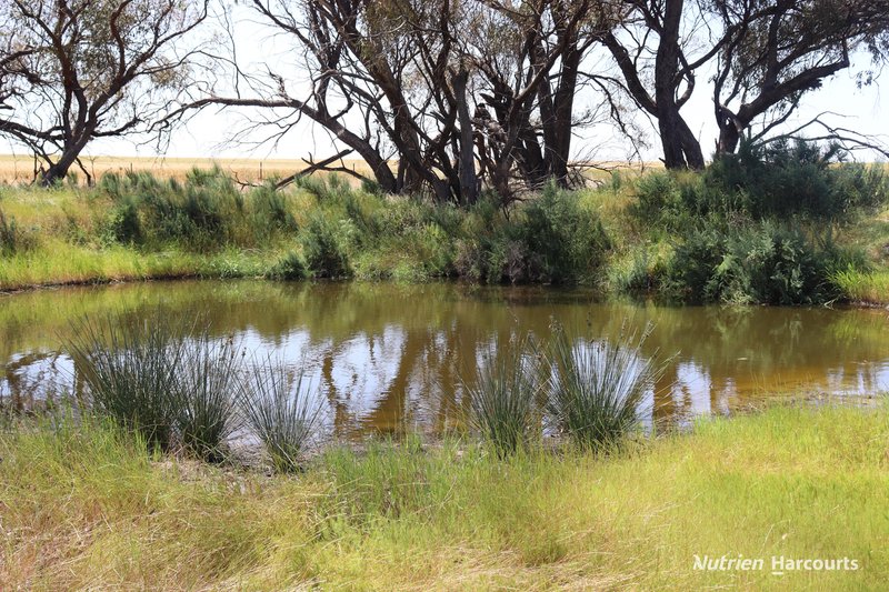 Photo - Corner Eaton & Rossmore Road, Goomalling WA 6460 - Image 3