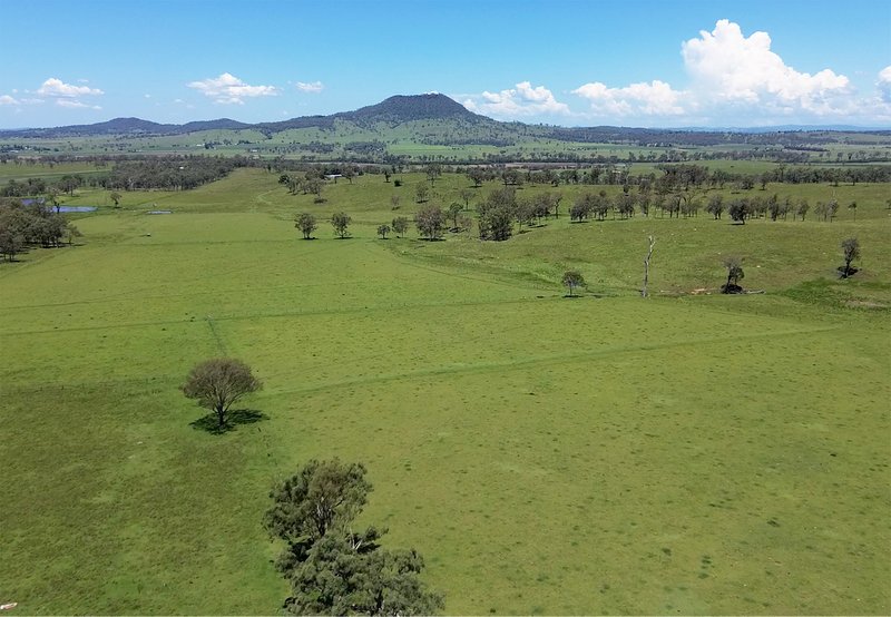 Corner Tralee & Waines Road, Mount Walker West QLD 4340