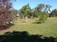 Photo - Crediton QLD 4757 - Image 6