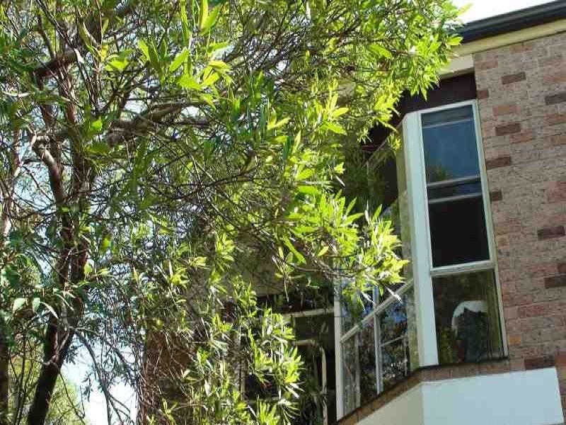 Photo - Cronulla NSW 2230 - Image 12