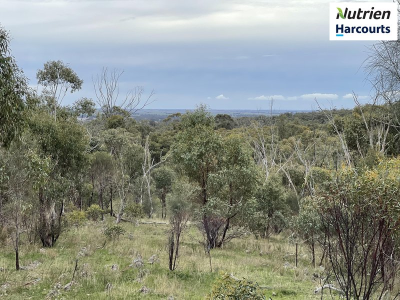 Photo - Crown Allotment 82B Mcdonald Road, St Arnaud VIC 3478 - Image 1