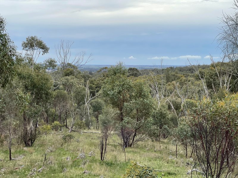 Photo - Crown Allotment 82B Mcdonald Road, St Arnaud VIC 3478 - Image 2