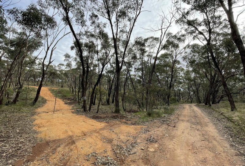 Photo - Crown Allotment 82B Mcdonald Road, St Arnaud VIC 3478 - Image 4