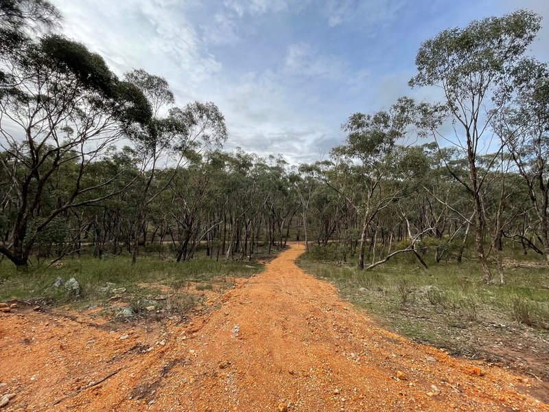 Photo - Crown Allotment 82B Mcdonald Road, St Arnaud VIC 3478 - Image 6