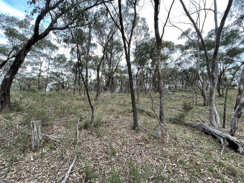 Photo - Crown Allotment 82B Mcdonald Road, St Arnaud VIC 3478 - Image 11