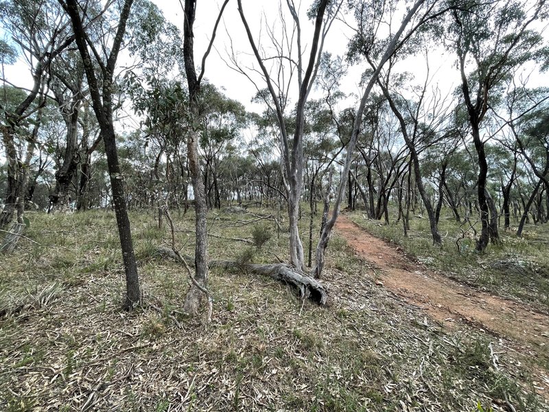 Photo - Crown Allotment 82B Mcdonald Road, St Arnaud VIC 3478 - Image 12