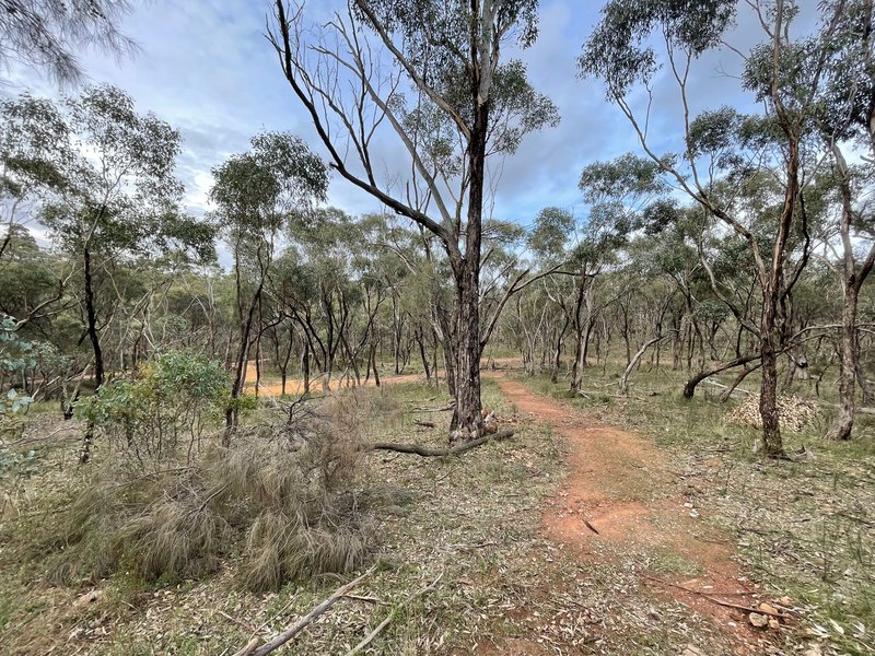 Photo - Crown Allotment 82B Mcdonald Road, St Arnaud VIC 3478 - Image 13