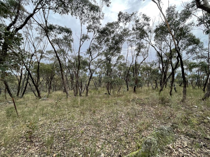 Photo - Crown Allotment 82B Mcdonald Road, St Arnaud VIC 3478 - Image 15