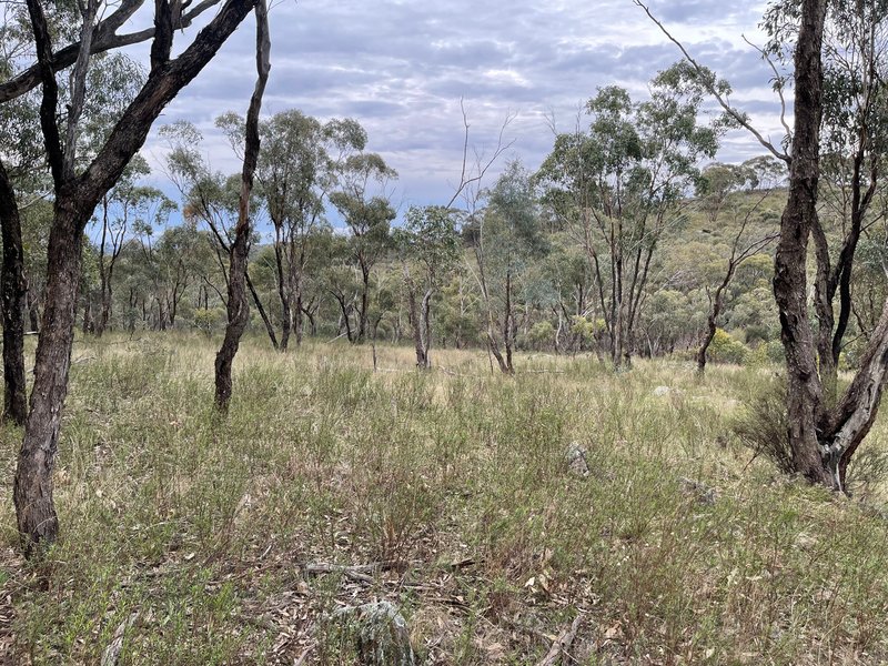 Photo - Crown Allotment 82B Mcdonald Road, St Arnaud VIC 3478 - Image 18