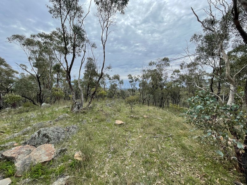 Photo - Crown Allotment 82B Mcdonald Road, St Arnaud VIC 3478 - Image 21