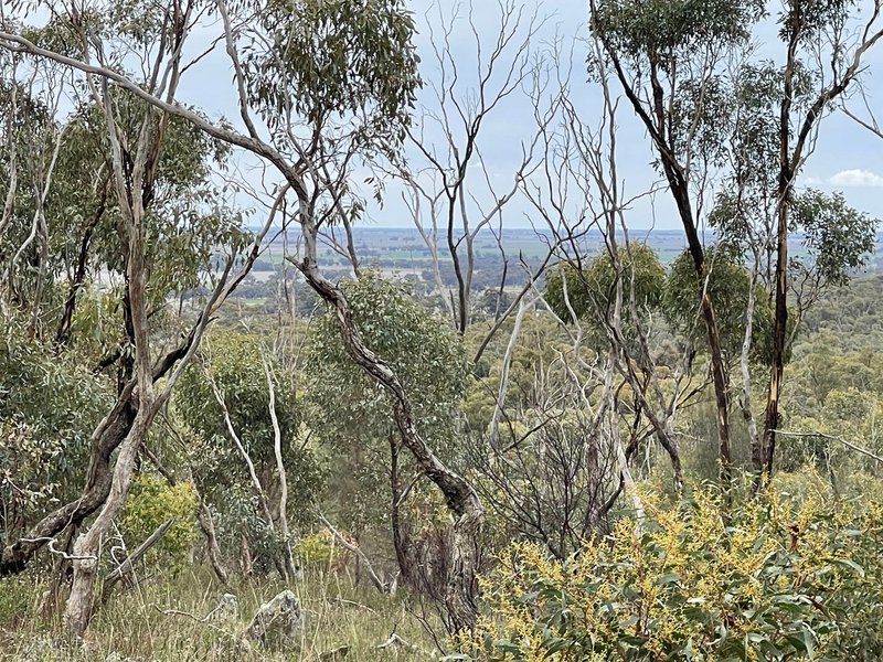 Photo - Crown Allotment 82B Mcdonald Road, St Arnaud VIC 3478 - Image 22
