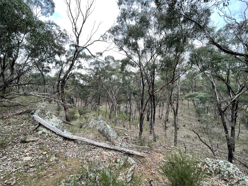 Photo - Crown Allotment 82B Mcdonald Road, St Arnaud VIC 3478 - Image 23