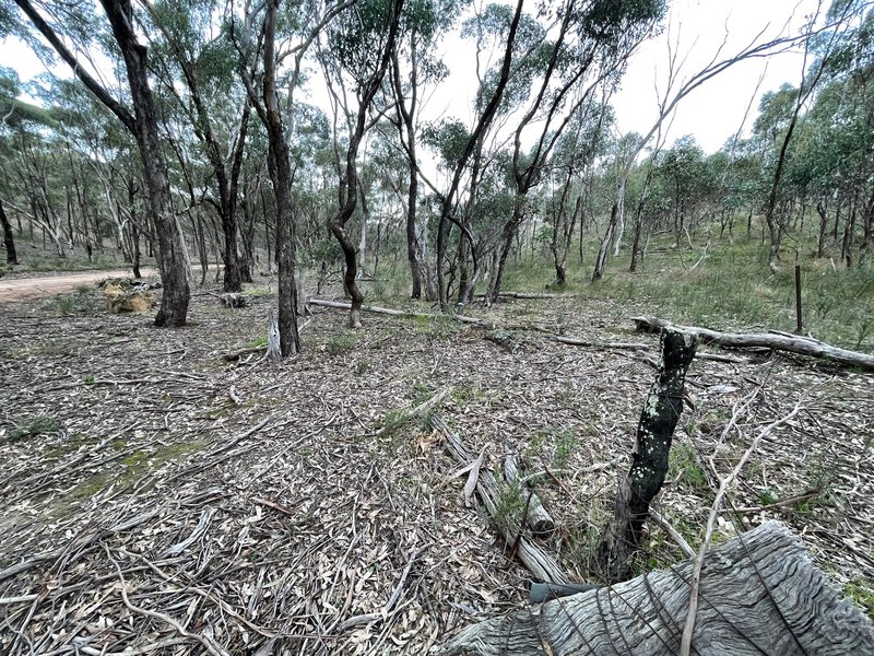 Photo - Crown Allotment 82B Mcdonald Road, St Arnaud VIC 3478 - Image 25