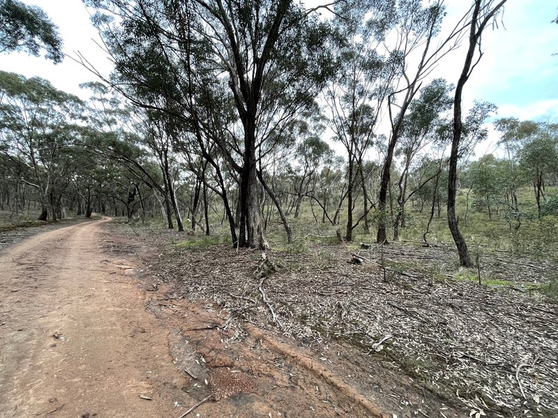 Photo - Crown Allotment 82B Mcdonald Road, St Arnaud VIC 3478 - Image 26