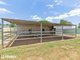 Photo - 'Cuerindi'/718 Namoi River Road, Manilla NSW 2346 - Image 23