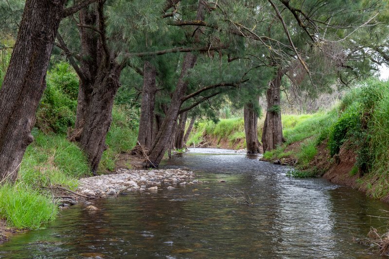 Photo - 'Culwulla' 49 Oakvale Road, Tamworth NSW 2340 - Image 3