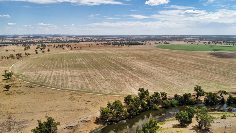 "Cumboogle" 6L Benelong Road, Dubbo NSW 2830