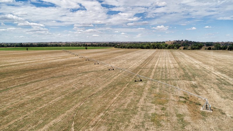 Photo - "Cumboogle" 6L Benelong Road, Dubbo NSW 2830 - Image 5