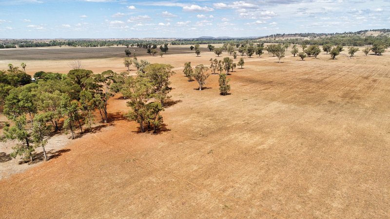 Photo - "Cumboogle" 6L Benelong Road, Dubbo NSW 2830 - Image 7