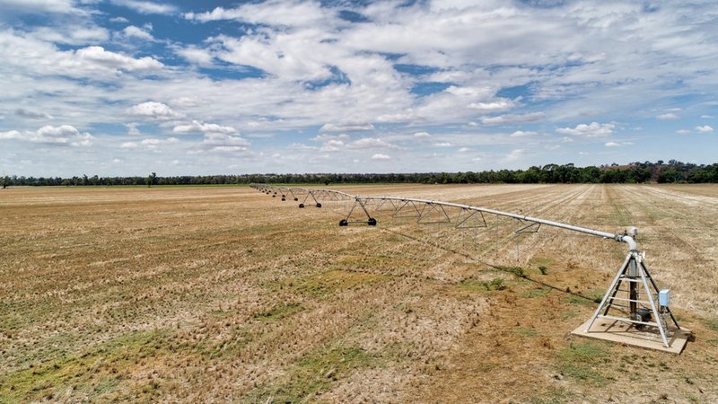 Photo - "Cumboogle" 6L Benelong Road, Dubbo NSW 2830 - Image 8