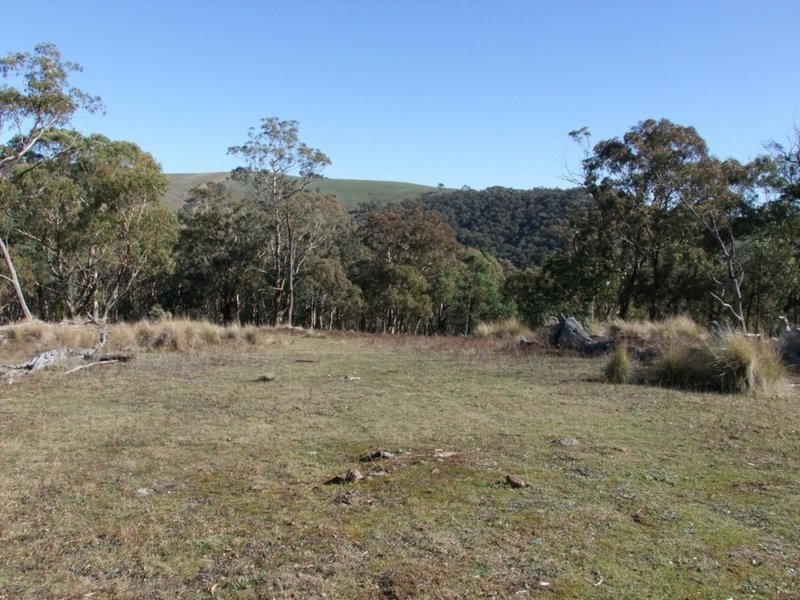 Photo - Dark Corner NSW 2795 - Image 12