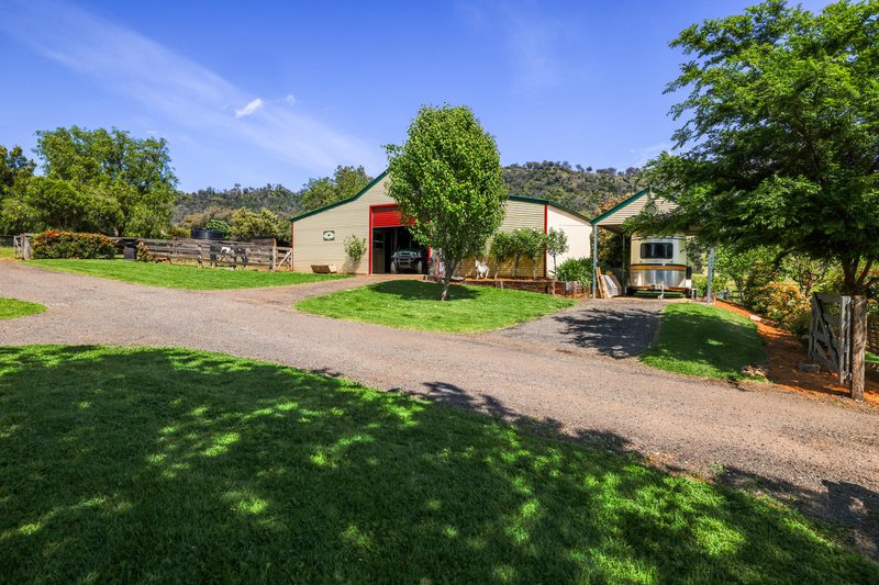 Photo - Daruka Homestead 80 Wyndham Close, Tamworth NSW 2340 - Image 17