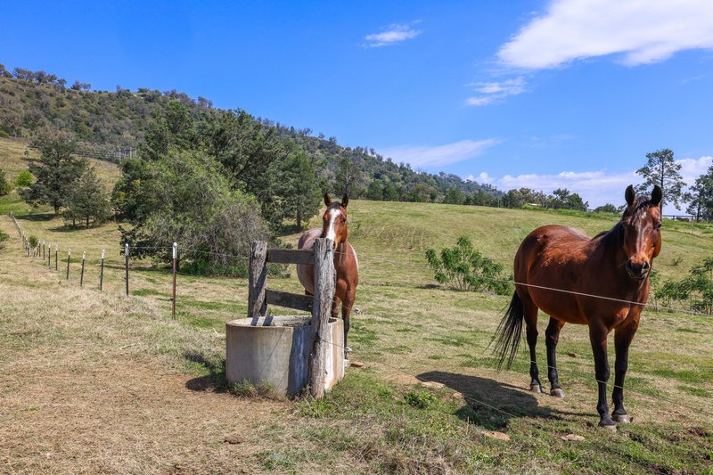 Photo - Daruka Homestead 80 Wyndham Close, Tamworth NSW 2340 - Image 22