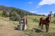 Photo - Daruka Homestead 80 Wyndham Close, Tamworth NSW 2340 - Image 22