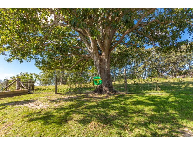 Photo - Delaneys Creek QLD 4514 - Image 13