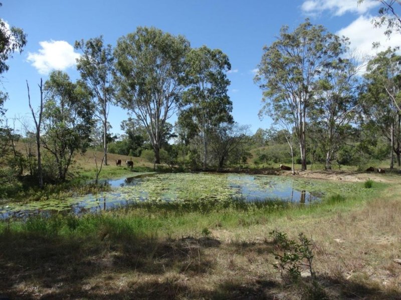 Photo - Diamond Hill Road, Rosedale QLD 4674 - Image 2