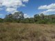 Photo - Diamond Hill Road, Rosedale QLD 4674 - Image 24