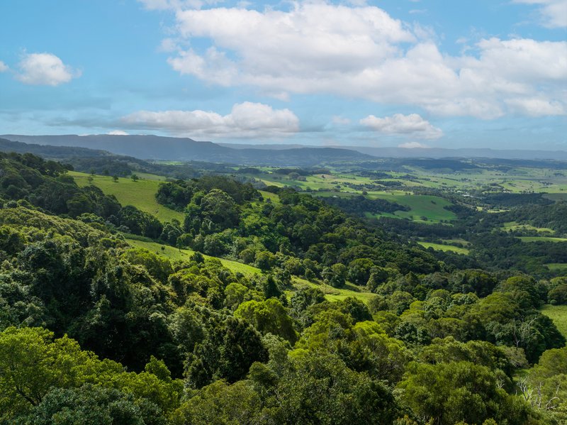 Photo - 'DJAWULA' Lot 2022 Wilsons Road, Saddleback Mountain NSW 2533 - Image 12