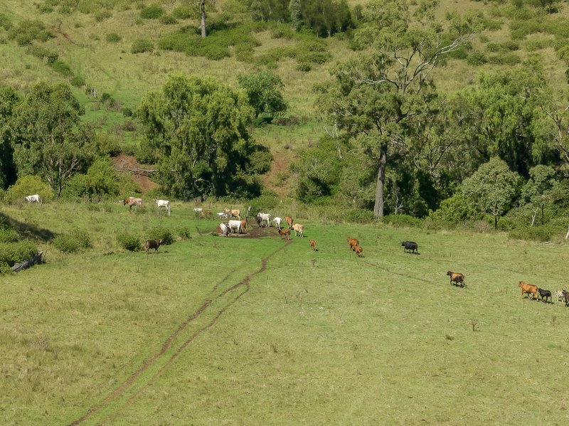 Photo - "Don-Toria Downs" Schultz Road, Coalbank QLD 4352 - Image 5