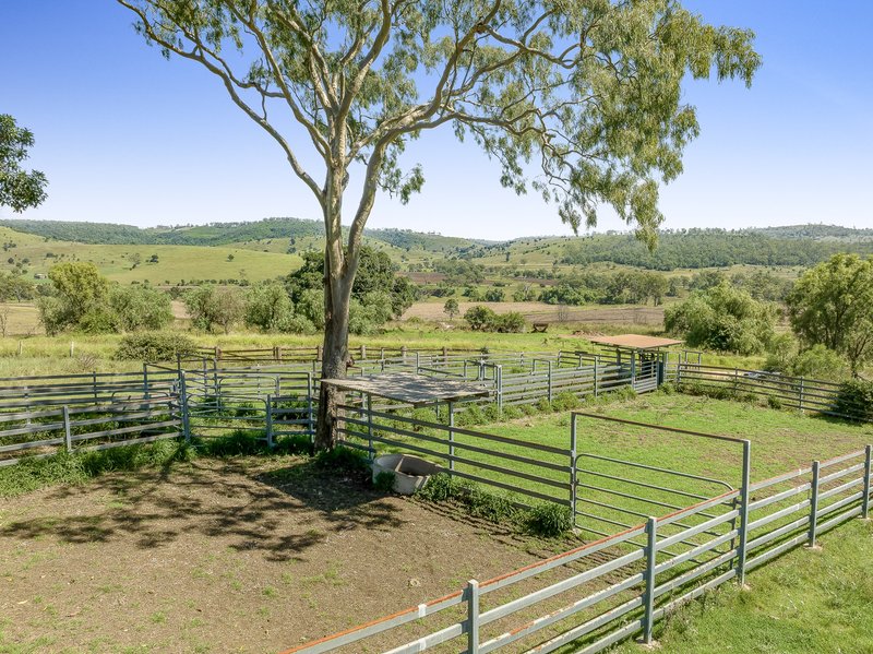 Photo - "Don-Toria Downs" Schultz Road, Coalbank QLD 4352 - Image 9