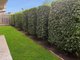Photo - Doolandella QLD 4077 - Image 12