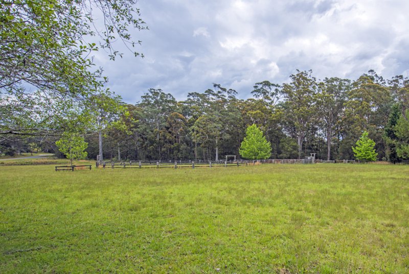 Photo - Dorrigo NSW 2453 - Image 8