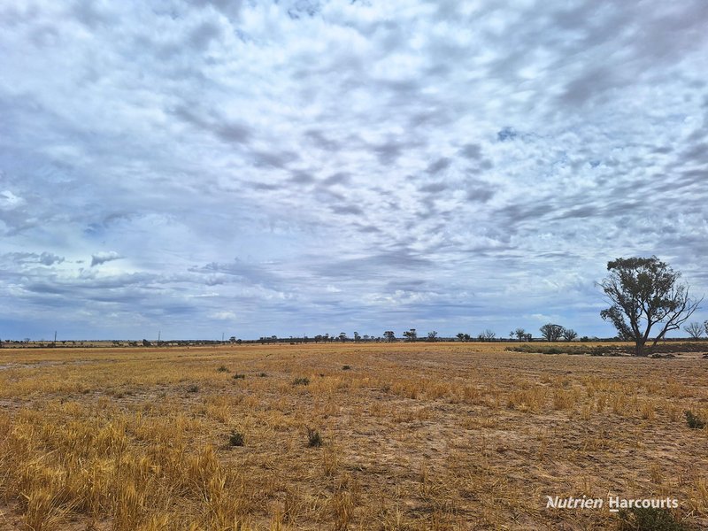 Photo - . 'Dowdings' , Kellerberrin WA 6410 - Image 4