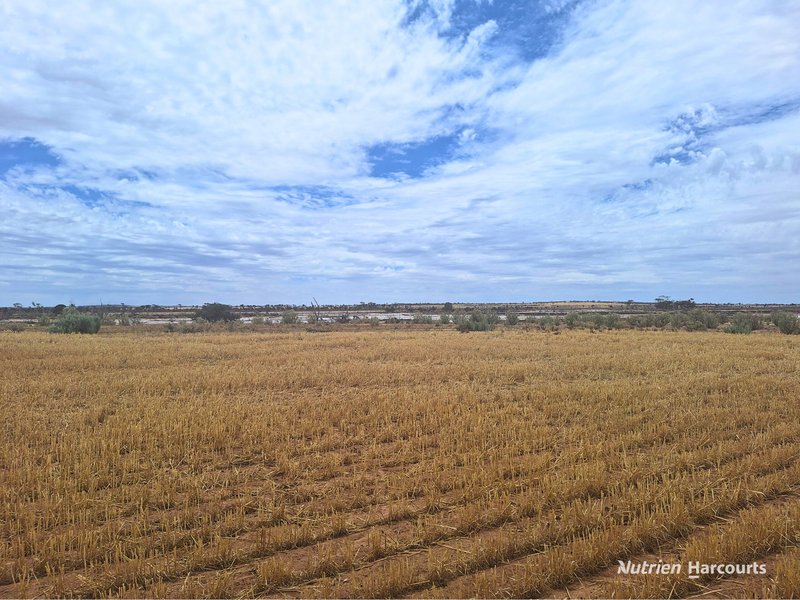 Photo - . 'Dowdings' , Kellerberrin WA 6410 - Image 6